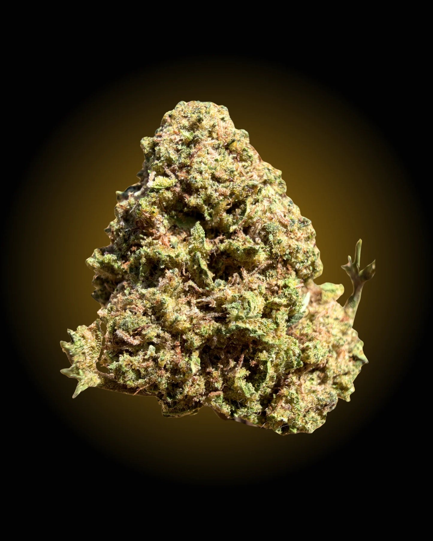 YAGA OG