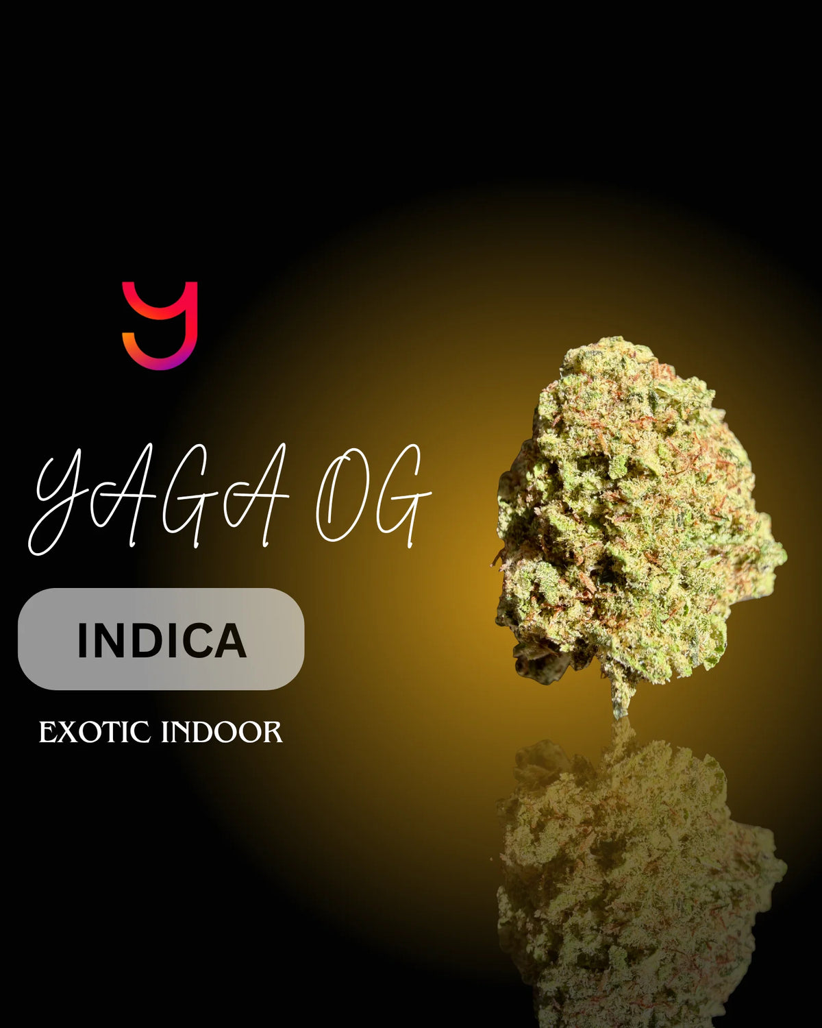 YAGA OG