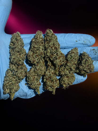 Lemon Haze