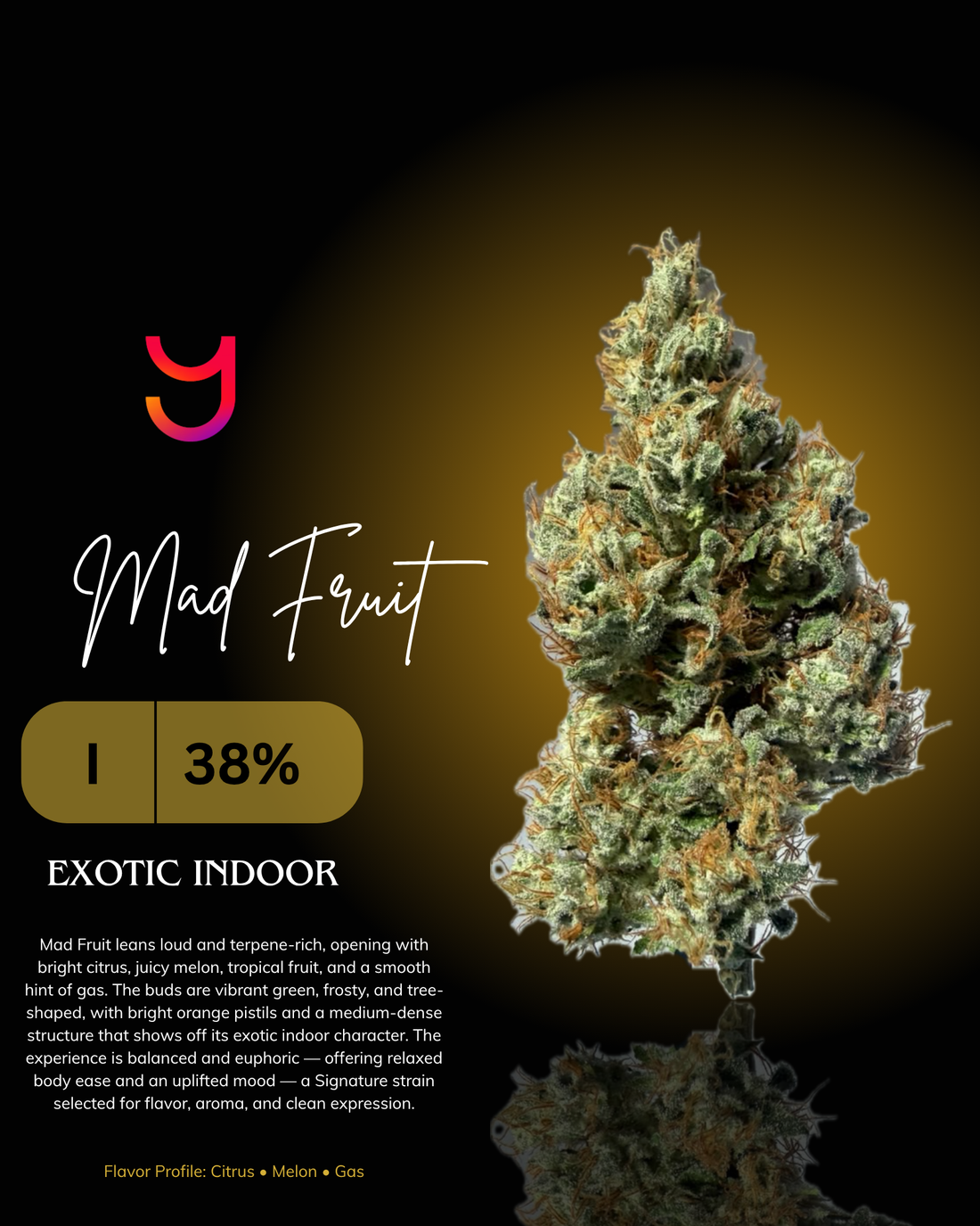 Mad Fruit THCa flower by YAGA Farms featuring vibrant green buds, frosty trichome coverage, bright orange pistils, and a terpene-rich citrus and melon aroma. Premium California-grown exotic indoor cannabis.