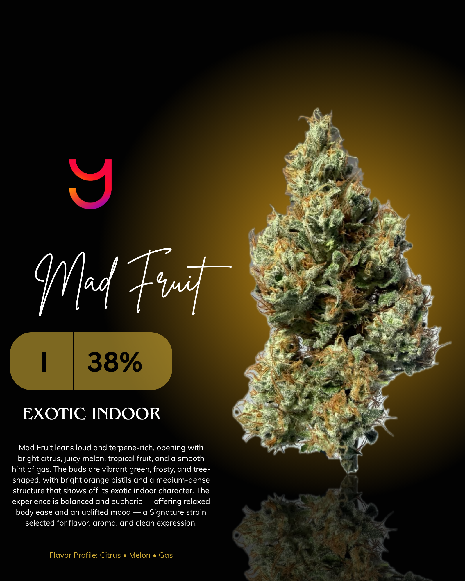 Mad Fruit THCa flower by YAGA Farms featuring vibrant green buds, frosty trichome coverage, bright orange pistils, and a terpene-rich citrus and melon aroma. Premium California-grown exotic indoor cannabis.