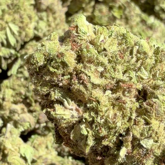Jet Fuel Gelato
