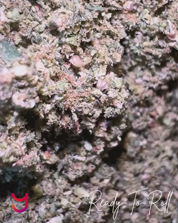 Ready-to-Roll Ounces Flower Blend | Strain-Specific & Terp-Infused