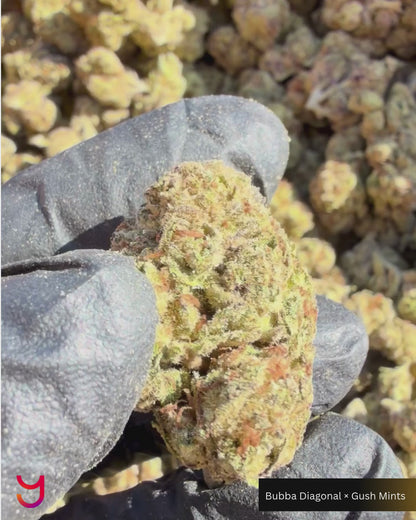 YAGA Farms Flash Flower Sale