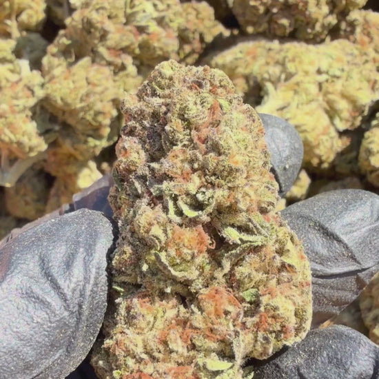 YAGA Farms Flash Flower Sale