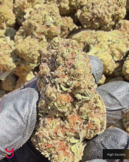 YAGA Farms Flash Flower Sale