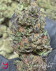 Close-up video of Cherry Sorbet cannabis buds highlighting dense structure, frosty trichomes, vibrant pistils, and premium California-grown quality