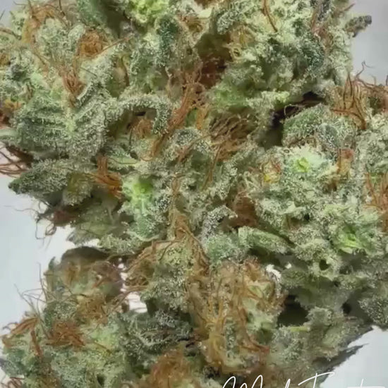 Mad Fruit