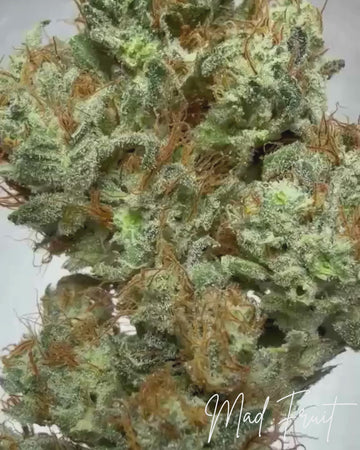 Mad Fruit
