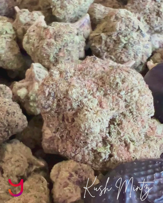 Kush Mintz