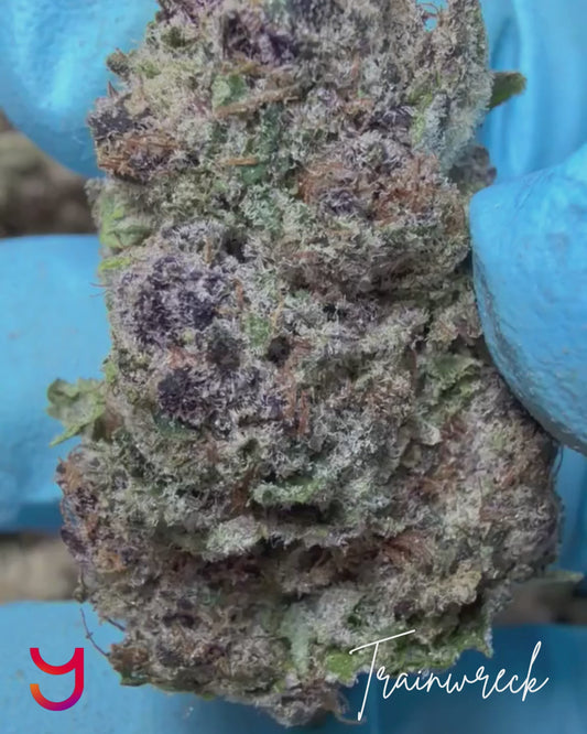 Trainwreck
