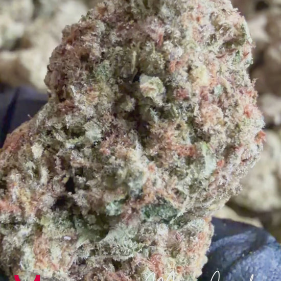 Video of Moon Candy hybrid THCa flower batch showing dried, cured, resin-rich buds available for purchase from YAGA Farms