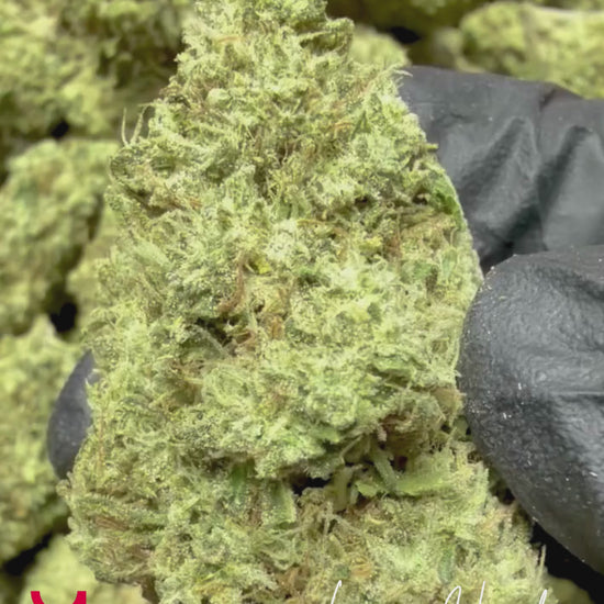 Close-up video of Lemon Heads cannabis buds showing dense structure, bright citrus green color, heavy trichome coverage and sticky resin texture, greenhouse grown Cali weed by YAGA Farms
