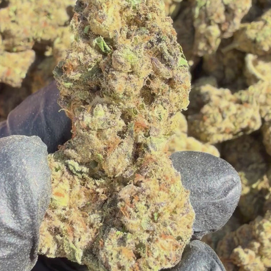YAGA Farms Flash Flower Sale