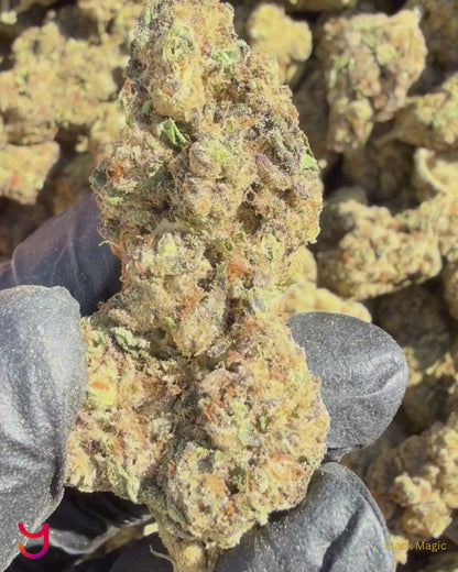 YAGA Farms Flash Flower Sale
