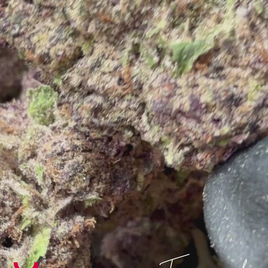 Trainwreck