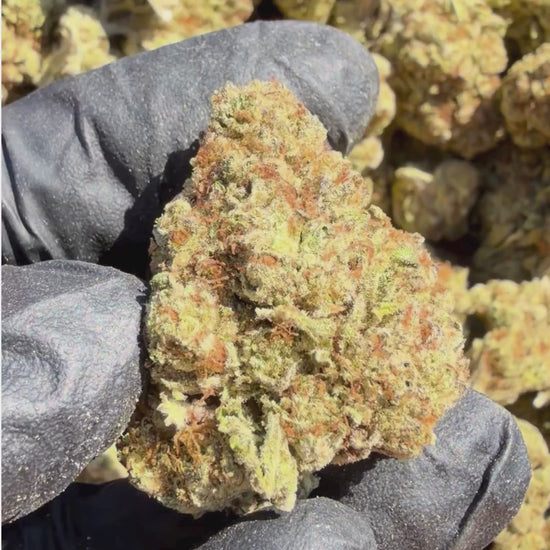 YAGA Farms Flash Flower Sale