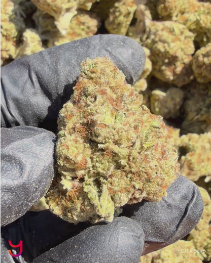 YAGA Farms Flash Flower Sale