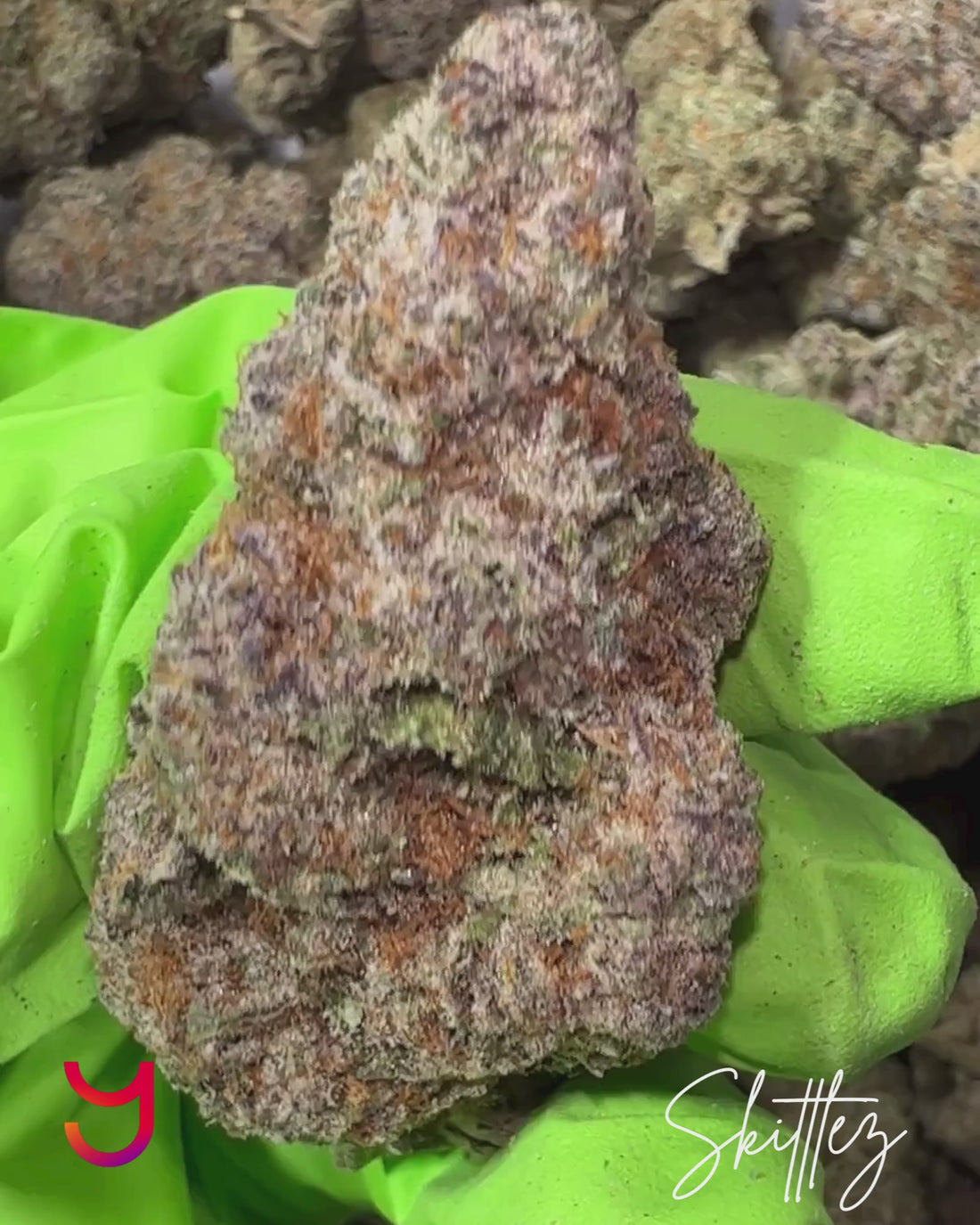 Skittlez Pop cannabis flower close-up video by YAGA Farms showing dense exotic indoor buds, rich trichome coverage, purple hues, orange pistils, and premium California grown Cali weed quality