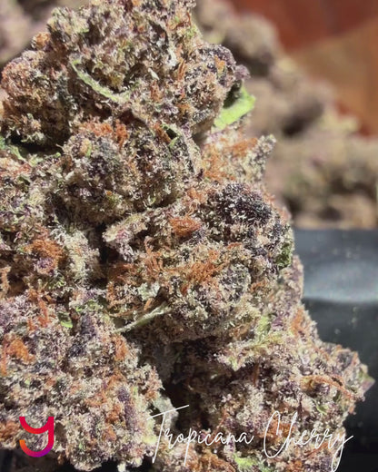 Tropicana Cherry