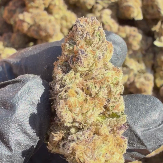YAGA Farms Flash Flower Sale