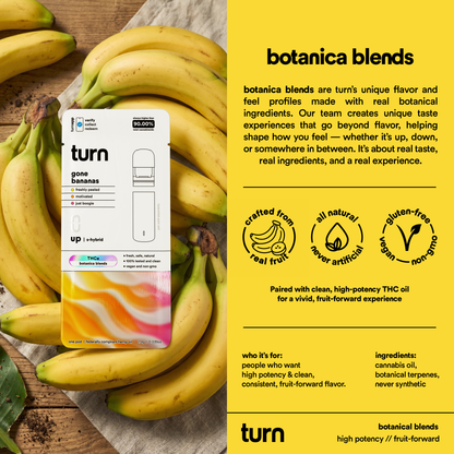 TurnHemp PodPak Pods 1.0g THCa - Gone Bananas product image 3